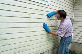 Best Siding Removal and Disposal  in Freeport, FL